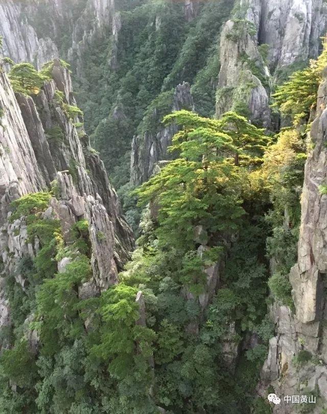 中国食谱