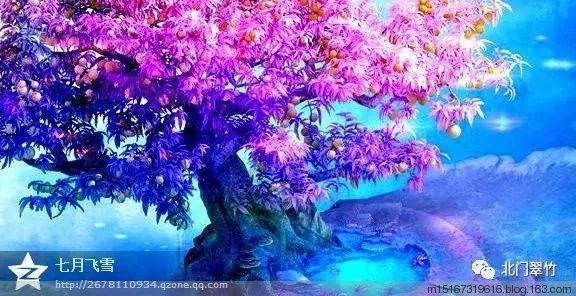 厦门象屿(600057.SH):控股股东象屿集团增持1.01%股份 增持计划实施完毕